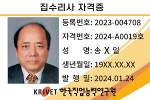 집수리사 19호